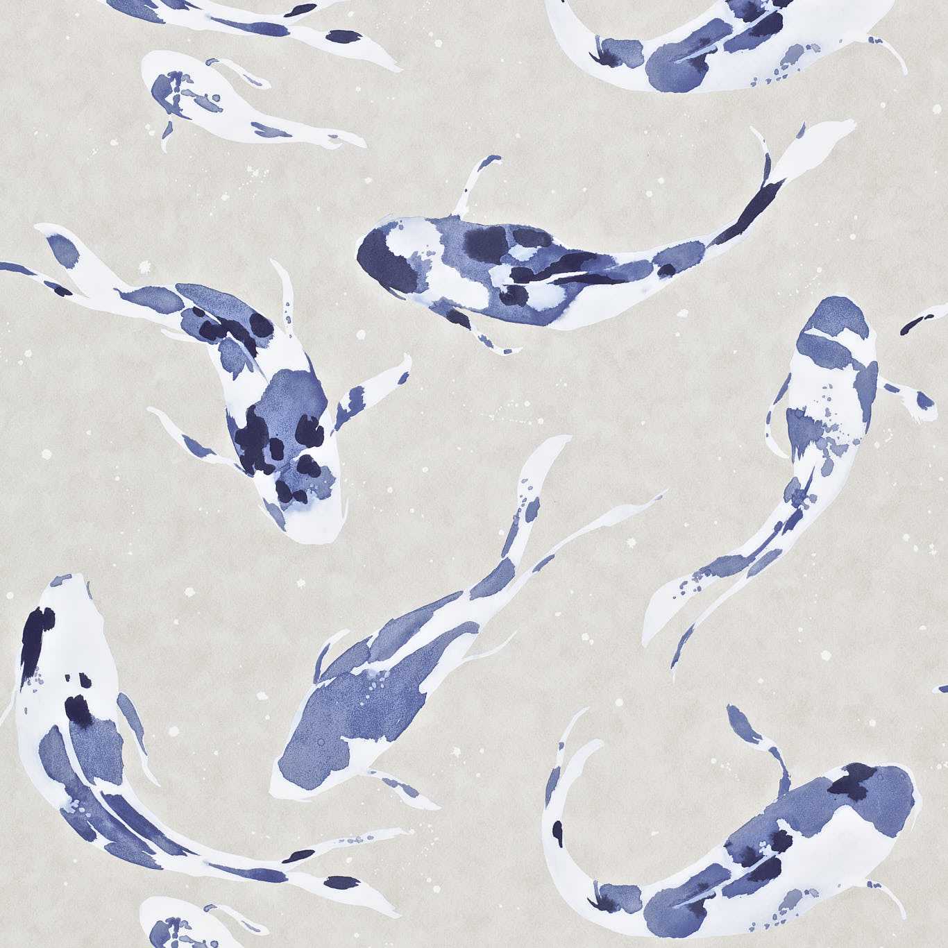 Koi  110901